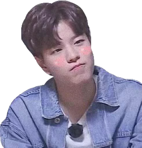 Стикерпак straykids©char для Telegram — скачать