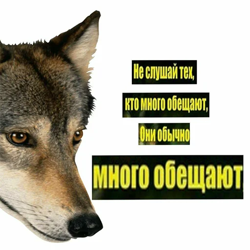 😤 Стикер «Сильный не тот, кто сильный» для Telegram