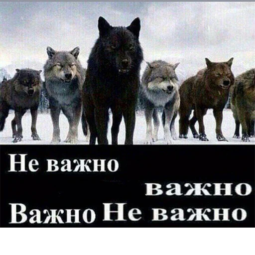 🤯 Стикер «Сильный не тот, кто сильный» для Telegram
