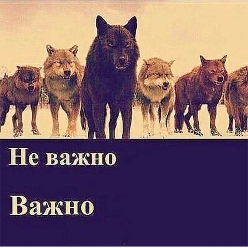 😡 Стикер «Сильный не тот, кто сильный» для Telegram