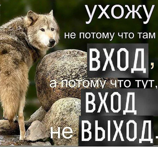 🤓 Стикер «Сильный не тот, кто сильный» для Telegram