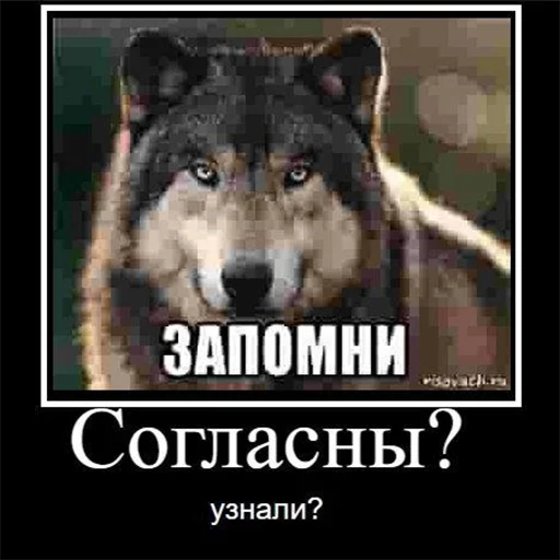 😆 Стикер «Сильный не тот, кто сильный» для Telegram