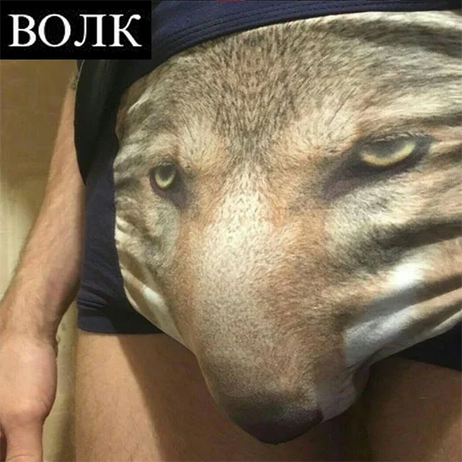 Стикерпак Сильный не тот, кто сильный для Telegram — скачать