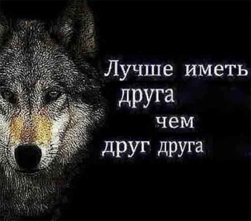🤝 Стикер «Сильный не тот, кто сильный» для Telegram