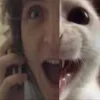 Эмодзи Юра Каплан для Telegram — скачать
