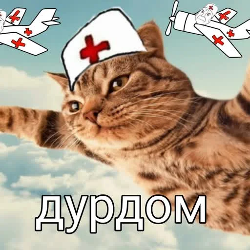 Стикерпак учеба для Telegram — скачать