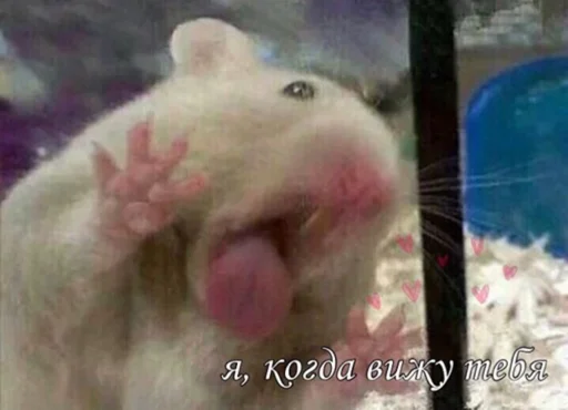 😛 Стикер «suicidal kitty» для Telegram