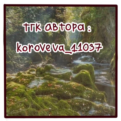 🐮 Стикер «Отклонёнки. ВК их не принял.» для Telegram