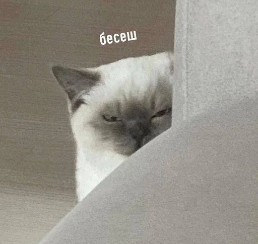 👿 Стикер «Sukruma» для Telegram