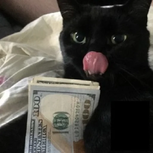 💸 Стикер «Sukruma» для Telegram