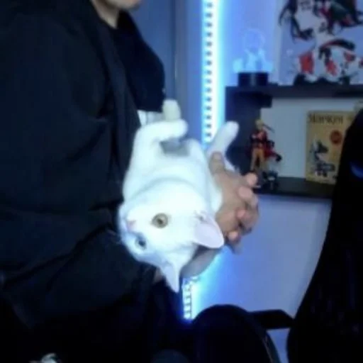 🐈 Стикер «AxeSAY & D3_KIM_» для Telegram