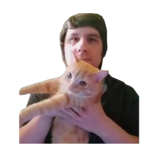 🐱 Стикер «sumka» для Telegram