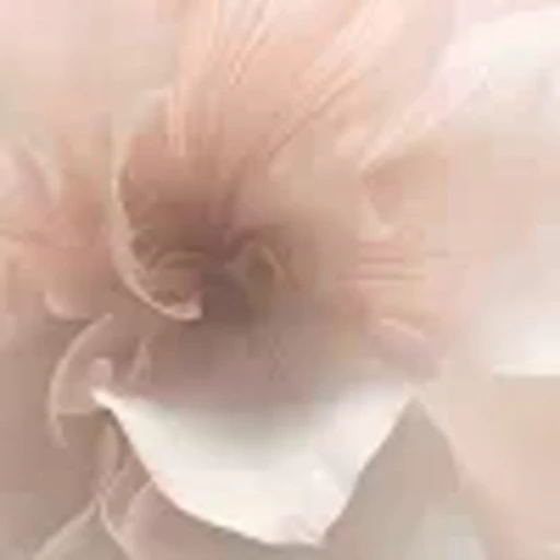 🪷 Эмодзи «summer» для Telegram