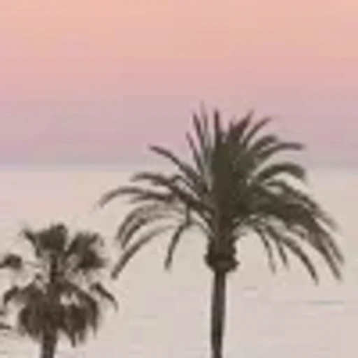 🤩 Эмодзи «summer» для Telegram
