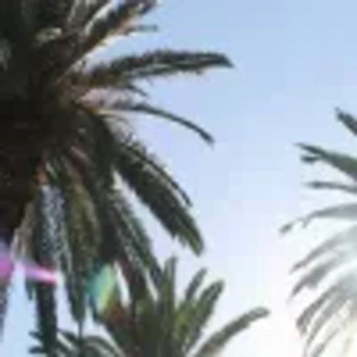 🌴 Эмодзи «summer» для Telegram