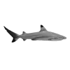 🦈 Эмодзи «My Perfect Summer» для Telegram