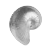 🐚 Эмодзи «My Perfect Summer» для Telegram
