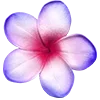 🌸 Эмодзи «» для Telegram