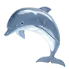 🐬 Эмодзи «» для Telegram