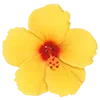 🌼 Эмодзи «» для Telegram