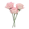 🌸 Эмодзи «» для Telegram