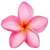 🌸 Эмодзи «» для Telegram