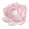 🌸 Эмодзи «» для Telegram
