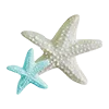 🪸 Эмодзи «» для Telegram