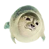 🦭 Эмодзи «» для Telegram