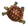 🐢 Эмодзи «» для Telegram