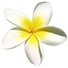 🌼 Эмодзи «» для Telegram