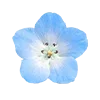 🌸 Эмодзи «» для Telegram