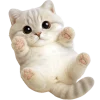 🫠 Эмодзи «Супер милый кот» для Telegram