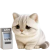 🥺 Эмодзи «Супер милый кот» для Telegram