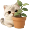🪴 Эмодзи «Супер милый кот» для Telegram