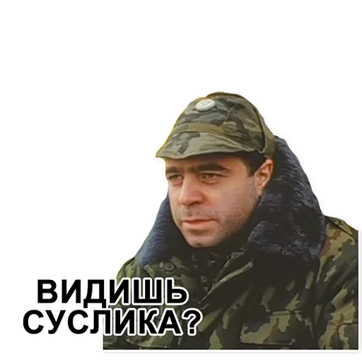 Стикерпак Cуслика видишь для Telegram — скачать