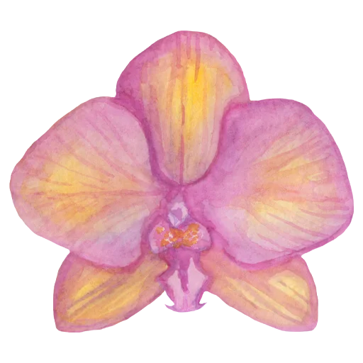 Стикерпак Flowers для Telegram — скачать