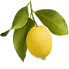 🍋 Эмодзи «Summertime» для Telegram