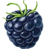 🍇 Эмодзи «Summertime» для Telegram