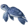 🐢 Эмодзи «Summertime» для Telegram