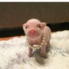 🤩 Эмодзи «😋 Pig emoji - миленькие поросятки» для Telegram