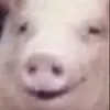🙂 Эмодзи «😋 Pig emoji - миленькие поросятки» для Telegram