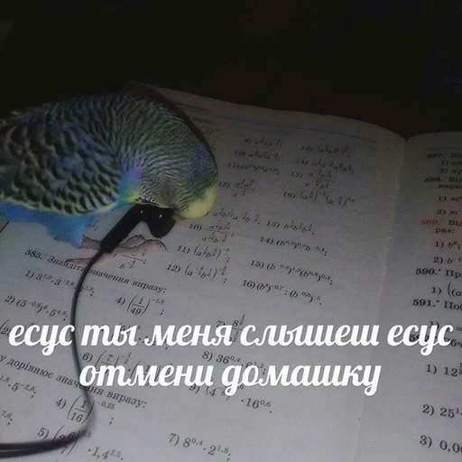📚 Стикер «SVP» для Telegram