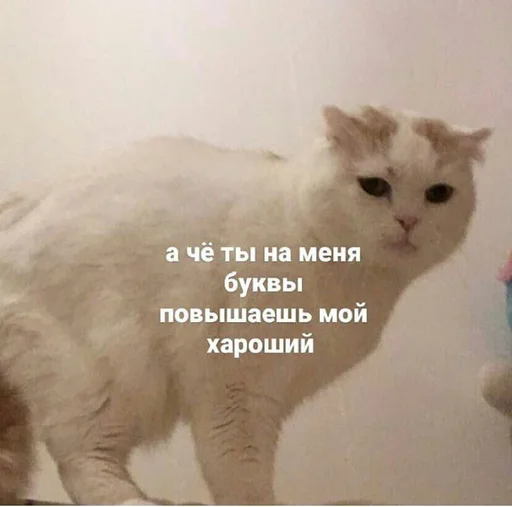 😐 Стикер «SVP» для Telegram