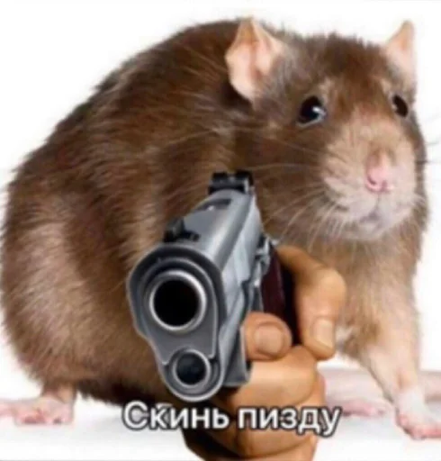 ☺️ Стикер «SVP» для Telegram