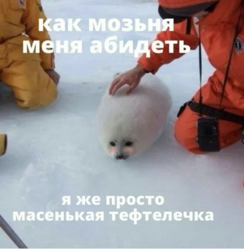 🥺 Стикер «SVP» для Telegram