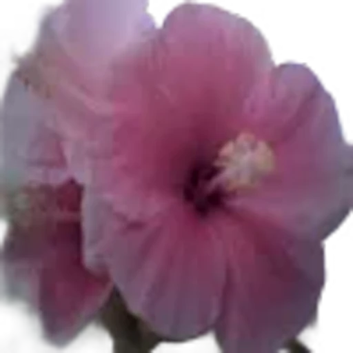 🌸 Эмодзи «swag» для Telegram