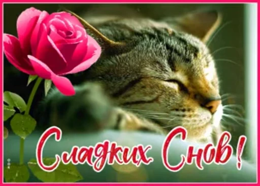 Стикерпак Sweet Dreams для Telegram — скачать