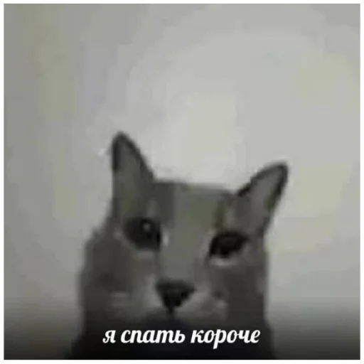 😌 Стикер «кринж 2» для Telegram