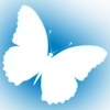 🦋 Эмодзи «Minimalism #status #color #blue» для Telegram
